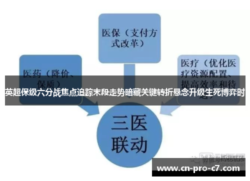 英超保级六分战焦点追踪末段走势暗藏关键转折悬念升级生死博弈时 英超保级六分战焦点追踪末段走势暗藏关键转折悬念升级生死博弈时