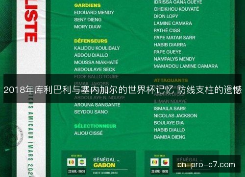 2018年库利巴利与塞内加尔的世界杯记忆 防线支柱的遗憾 2018年库利巴利与塞内加尔的世界杯记忆 防线支柱的遗憾